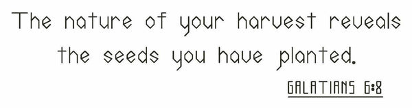 Galatians 6:8 - Digital Download Bible Verse