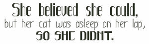 She Believed She Could - Phrase Pattern